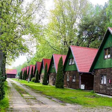 Polwysep Natura Tour Jastarnia Ngoại thất bức ảnh